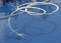 Dunedin Weekly Pool Service